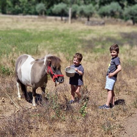 Arca Dos Animais - Farming & Spa Castelo Branco  Eksteriør bilde