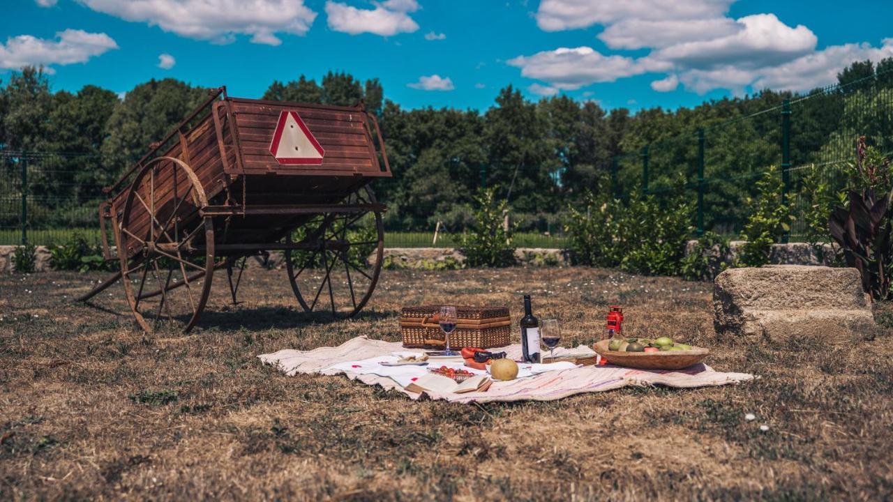 Arca Dos Animais - Farming & Spa Castelo Branco  Eksteriør bilde
