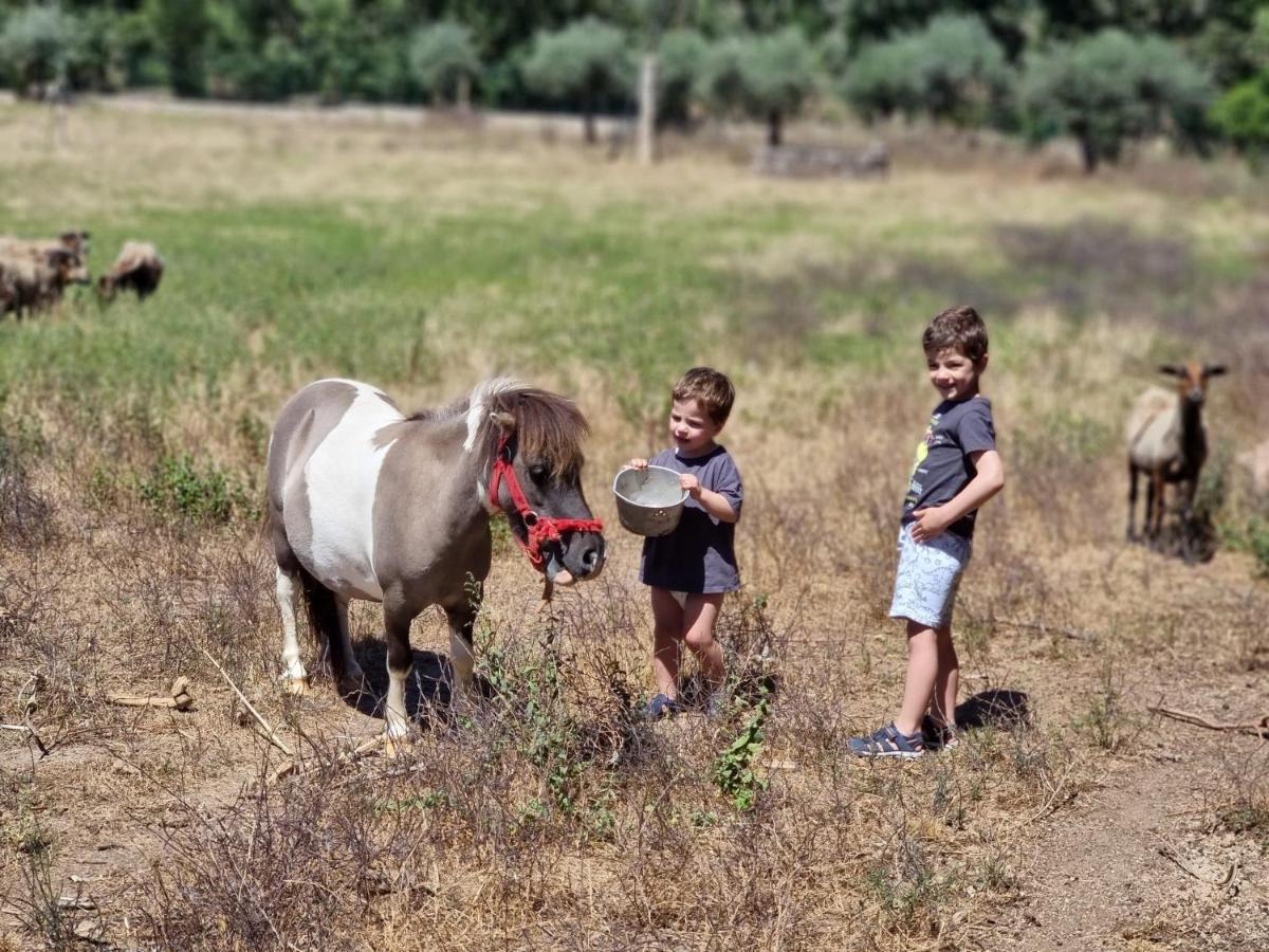 Arca Dos Animais - Farming & Spa Castelo Branco  Eksteriør bilde